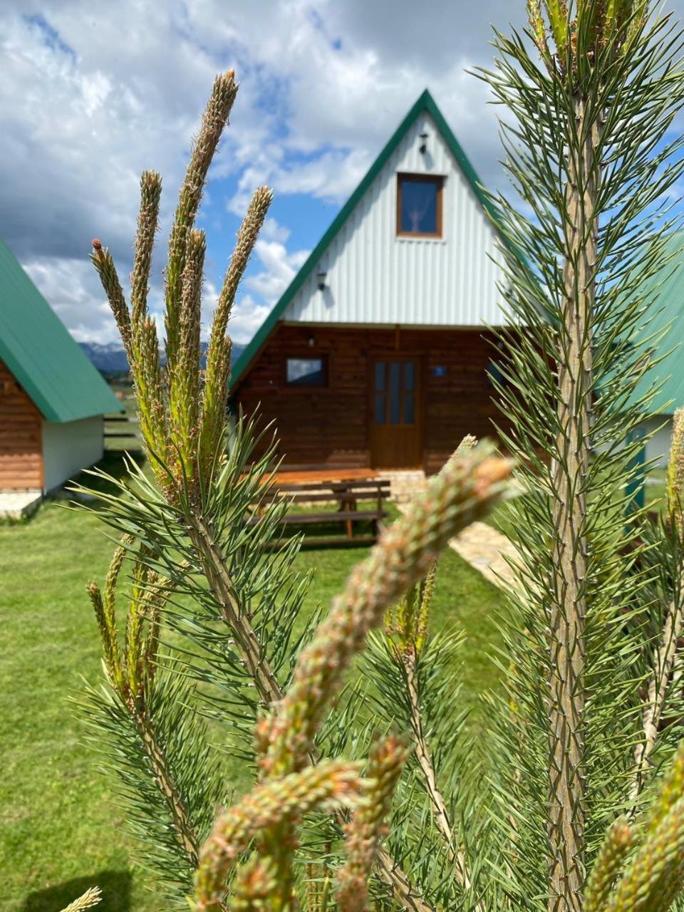 Family House Eagle Eye Villa Žabljak Dış mekan fotoğraf